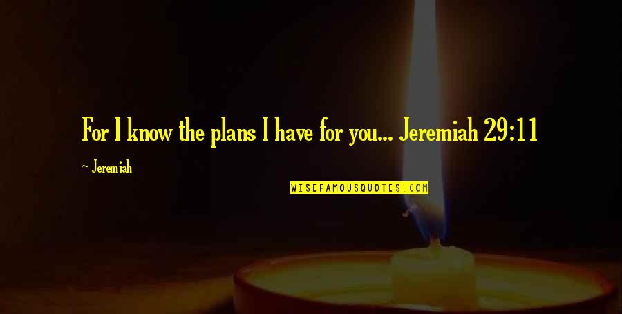 Bible Quotes And Quotes By Jeremiah: For I know the plans I have for