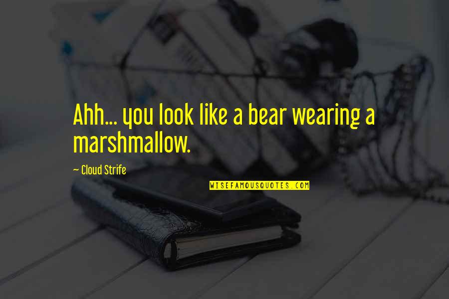 Bible Retribution Quotes By Cloud Strife: Ahh... you look like a bear wearing a