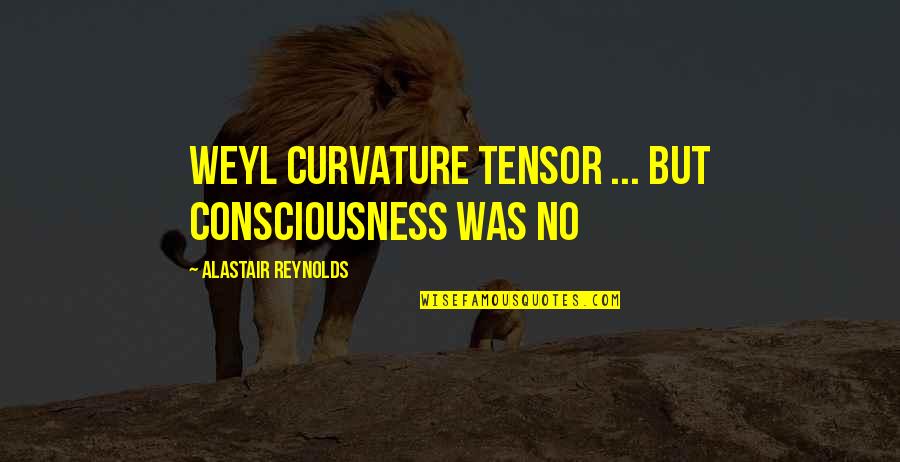 Bible Selflessness Quotes By Alastair Reynolds: Weyl curvature tensor ... but consciousness was no