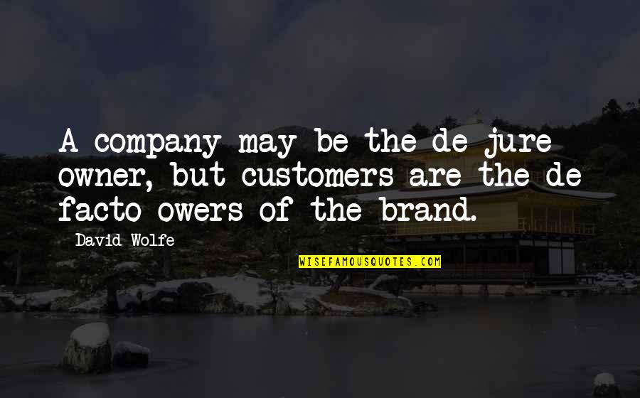 Bible Worried Quotes By David Wolfe: A company may be the de jure owner,