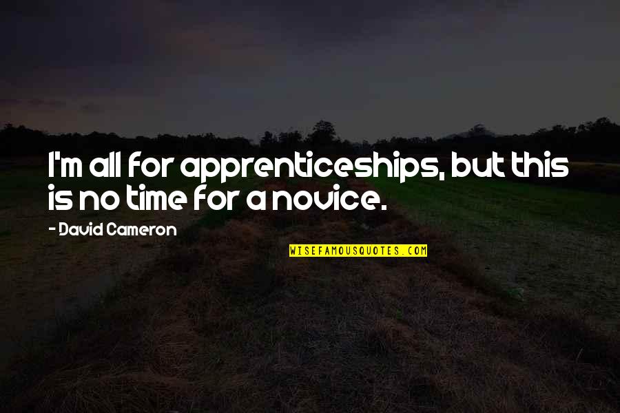 Biblical Antichrist Quotes By David Cameron: I'm all for apprenticeships, but this is no