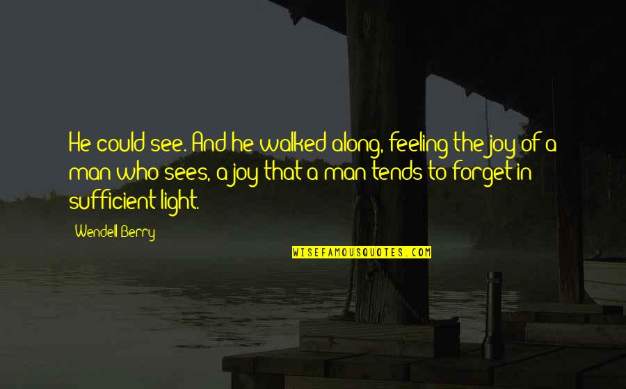 Biblical Baptism Quotes By Wendell Berry: He could see. And he walked along, feeling Biblical Baptism Quotes By Wendell Berry: He could see. And he walked along, feeling