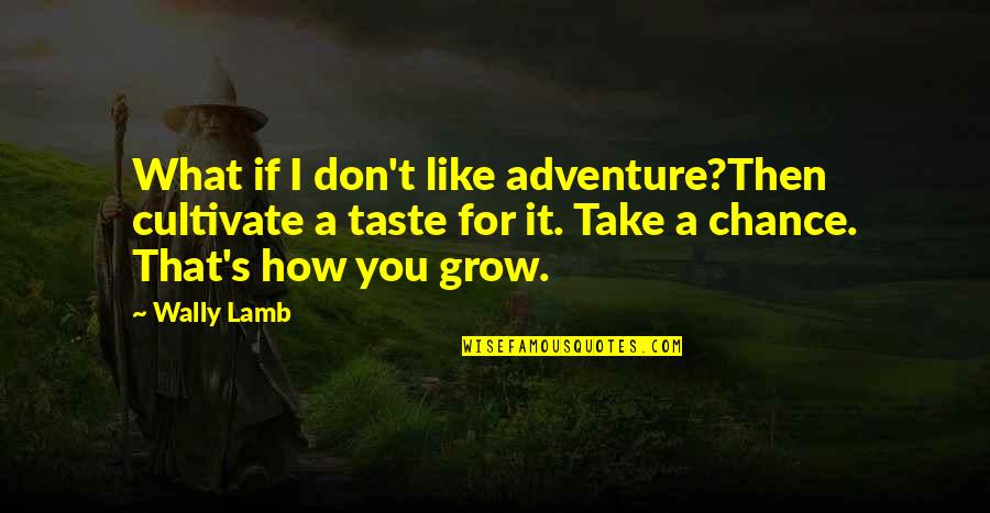 Biblical Fidelity Quotes By Wally Lamb: What if I don't like adventure?Then cultivate a