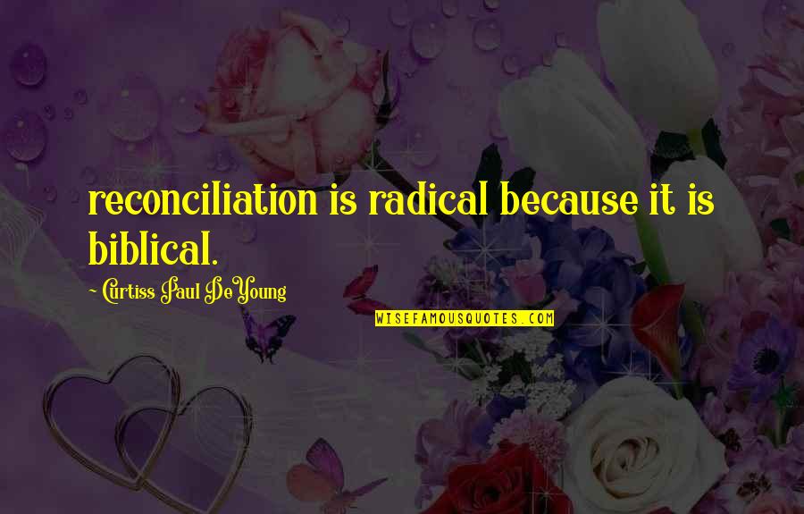 Biblical Quotes By Curtiss Paul DeYoung: reconciliation is radical because it is biblical.