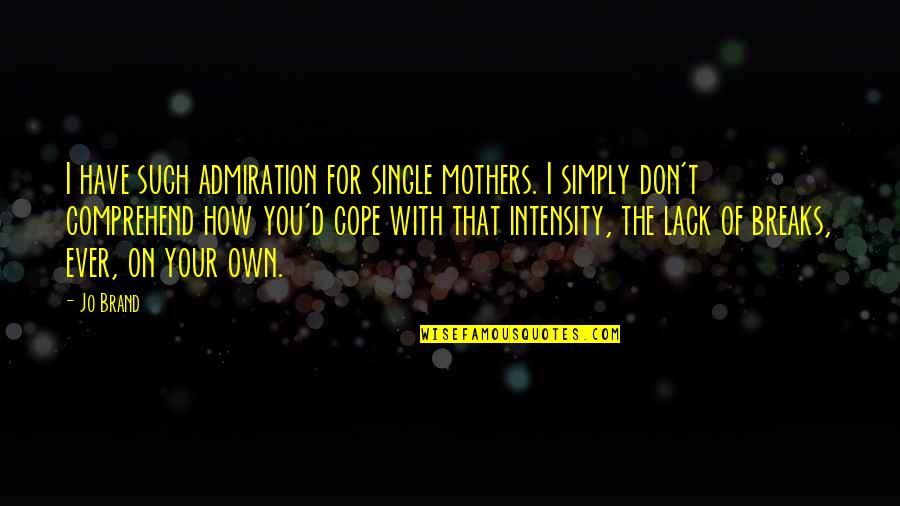Bibliothek Winterthur Quotes By Jo Brand: I have such admiration for single mothers. I Bibliothek Winterthur Quotes By Jo Brand: I have such admiration for single mothers. I