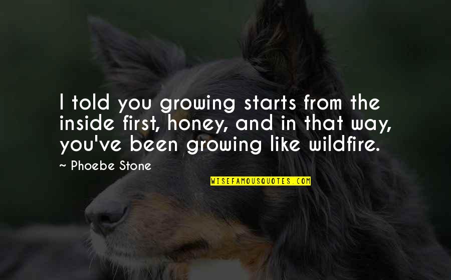 Bicameral System Quotes By Phoebe Stone: I told you growing starts from the inside Bicameral System Quotes By Phoebe Stone: I told you growing starts from the inside