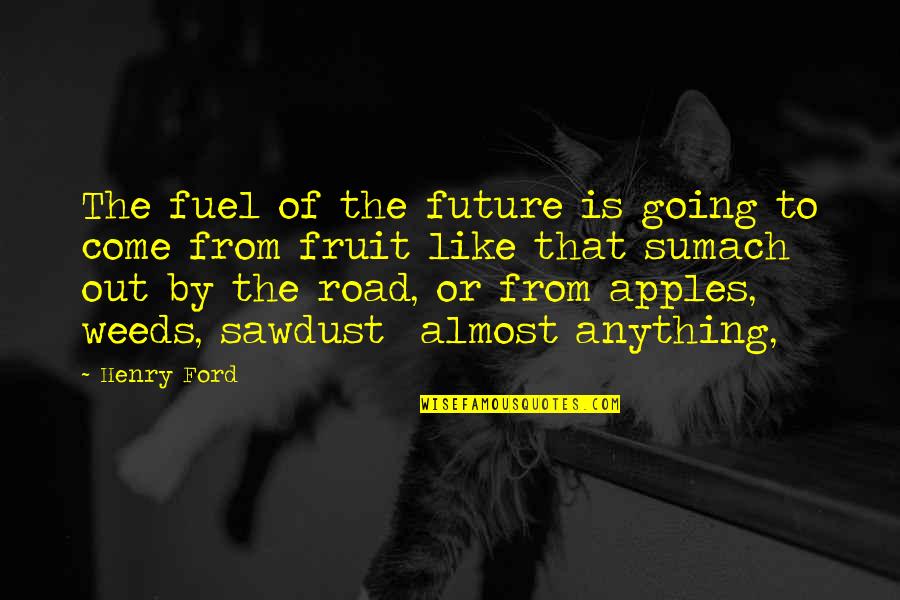 Bicentenario Quotes By Henry Ford: The fuel of the future is going to Bicentenario Quotes By Henry Ford: The fuel of the future is going to