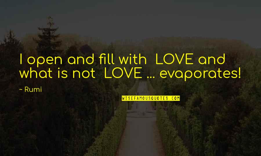 Bicicletas Scott Quotes By Rumi: I open and fill with LOVE and what