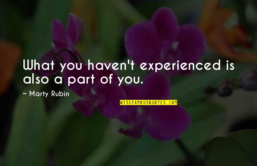 Bickering Antonyms Quotes By Marty Rubin: What you haven't experienced is also a part Bickering Antonyms Quotes By Marty Rubin: What you haven't experienced is also a part