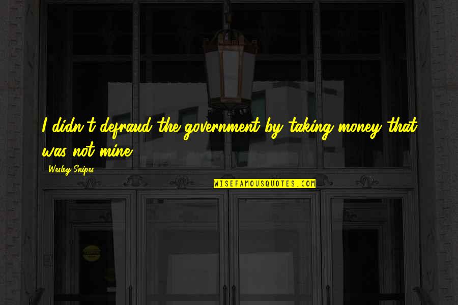 Bickerton Dang Quotes By Wesley Snipes: I didn't defraud the government by taking money