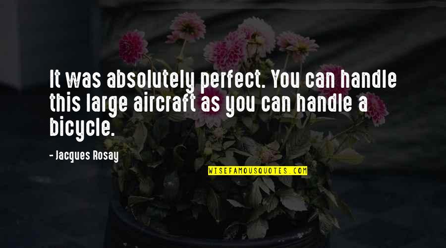 Bicycle And More Quotes By Jacques Rosay: It was absolutely perfect. You can handle this Bicycle And More Quotes By Jacques Rosay: It was absolutely perfect. You can handle this