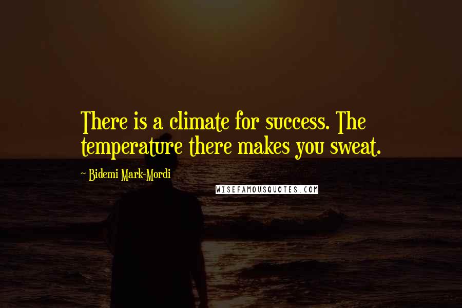 Bidemi Mark-Mordi quotes: There is a climate for success. The temperature there makes you sweat.