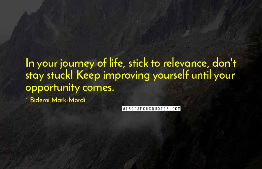 Bidemi Mark-Mordi quotes: In your journey of life, stick to relevance, don't stay stuck! Keep improving yourself until your opportunity comes.