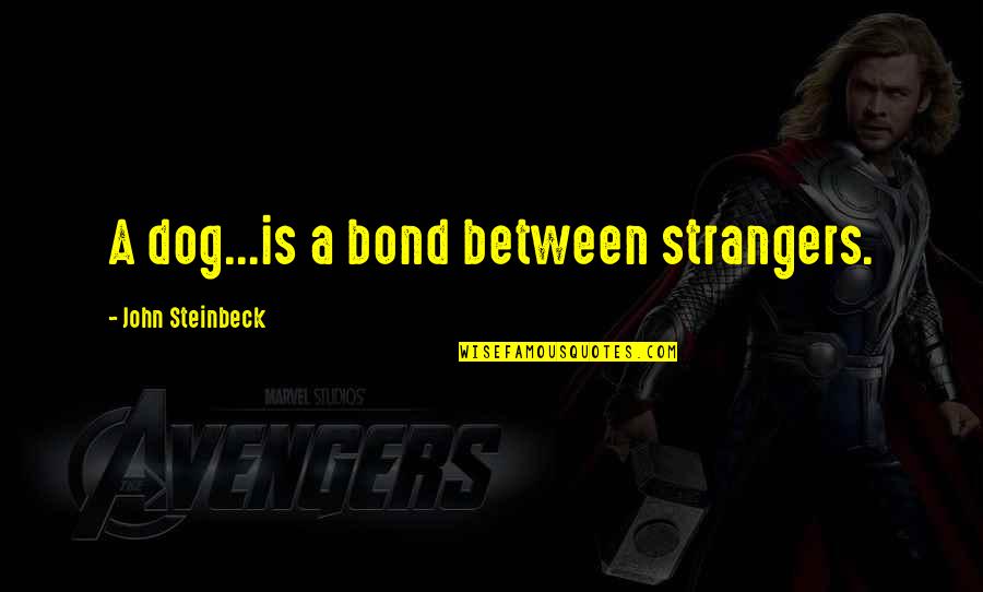 Biden Curve Quotes By John Steinbeck: A dog...is a bond between strangers. Biden Curve Quotes By John Steinbeck: A dog...is a bond between strangers.