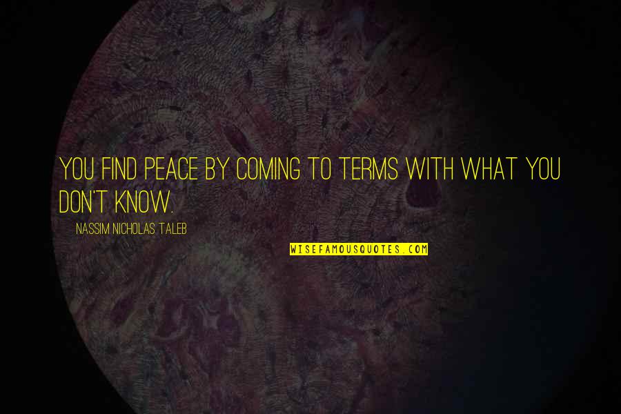 Bids And Tenders Quotes By Nassim Nicholas Taleb: You find peace by coming to terms with Bids And Tenders Quotes By Nassim Nicholas Taleb: You find peace by coming to terms with