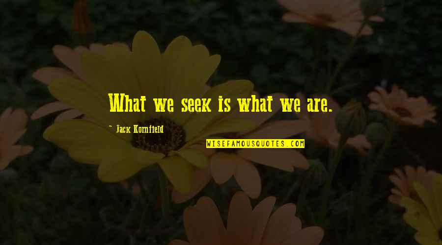 Biehn Travel Quotes By Jack Kornfield: What we seek is what we are.