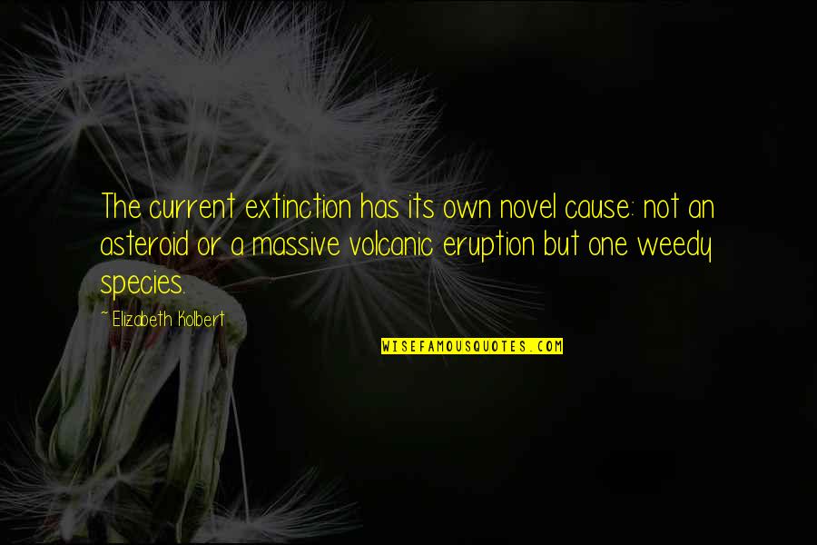 Biela Manivela Quotes By Elizabeth Kolbert: The current extinction has its own novel cause: Biela Manivela Quotes By Elizabeth Kolbert: The current extinction has its own novel cause: