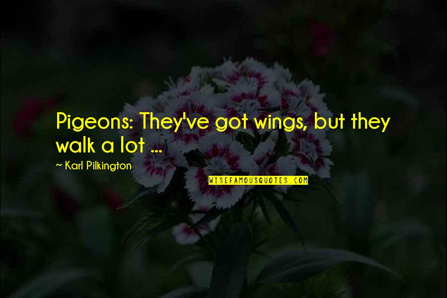 Biengbacked Quotes By Karl Pilkington: Pigeons: They've got wings, but they walk a