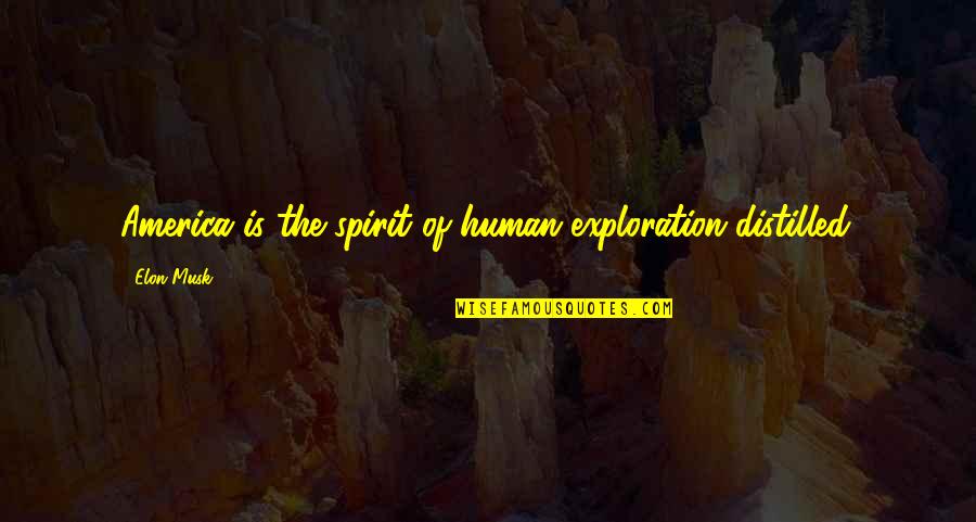 Biennials And Annuals Quotes By Elon Musk: America is the spirit of human exploration distilled.