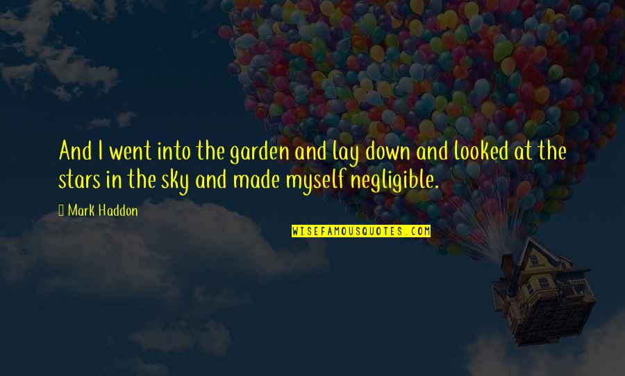 Bifan Quotes By Mark Haddon: And I went into the garden and lay