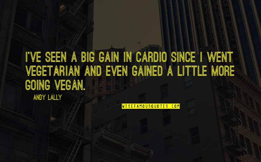 Big And Little Quotes By Andy Lally: I've seen a big gain in cardio since