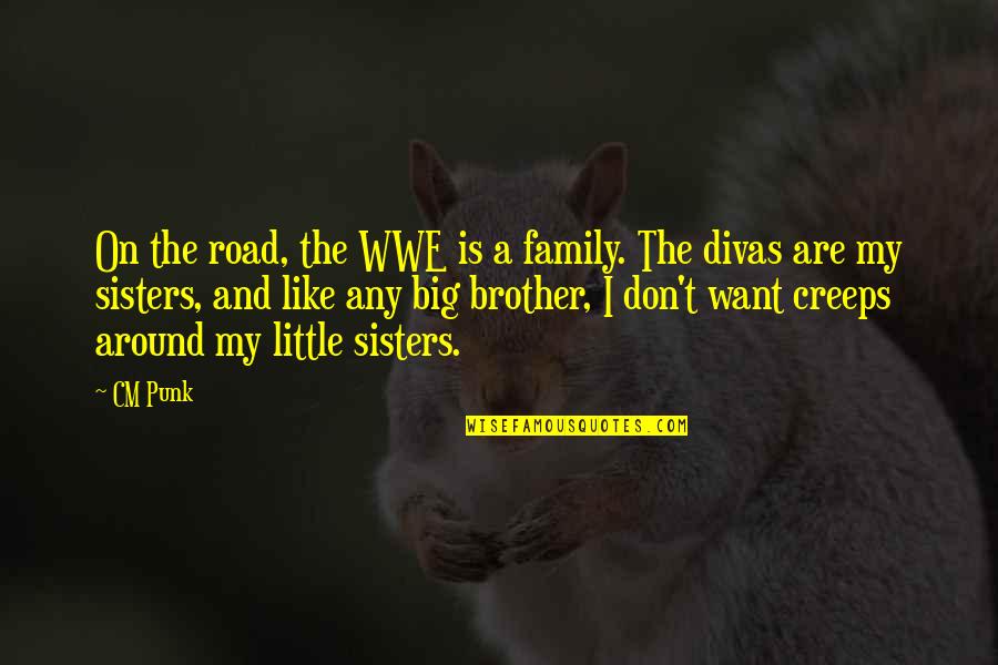 Big And Little Quotes By CM Punk: On the road, the WWE is a family.