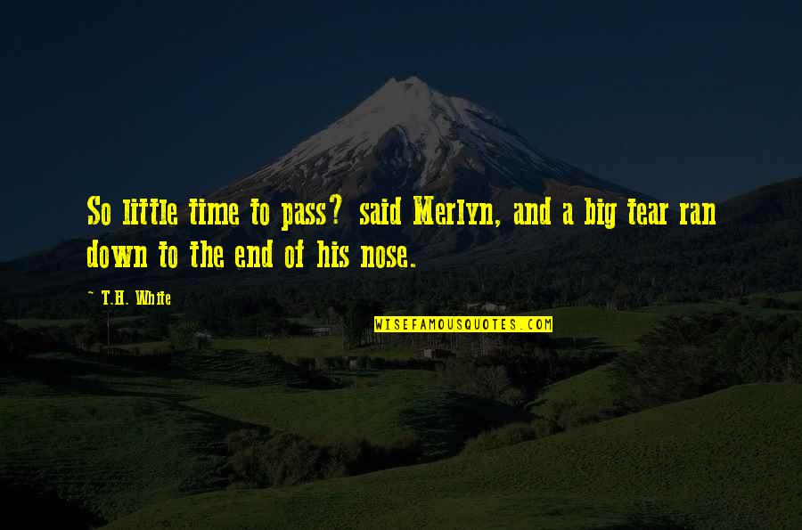 Big And Little Quotes By T.H. White: So little time to pass? said Merlyn, and