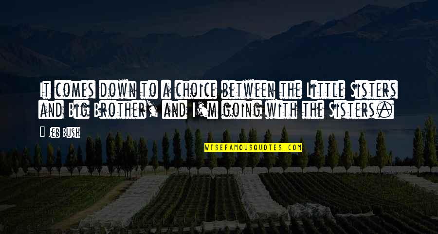 Big And Little Sisters Quotes By Jeb Bush: It comes down to a choice between the