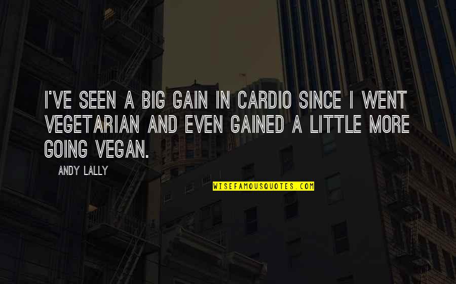 Big And Littles Quotes By Andy Lally: I've seen a big gain in cardio since