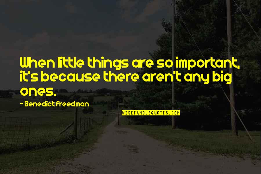 Big And Littles Quotes By Benedict Freedman: When little things are so important, it's because