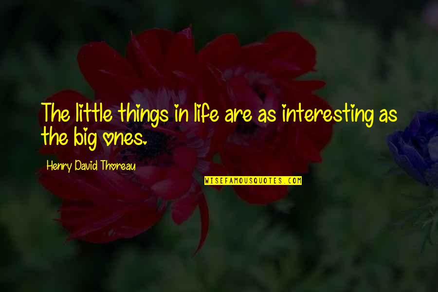 Big And Littles Quotes By Henry David Thoreau: The little things in life are as interesting