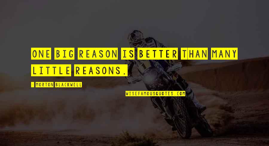 Big And Littles Quotes By Morton Blackwell: One big reason is better than many little