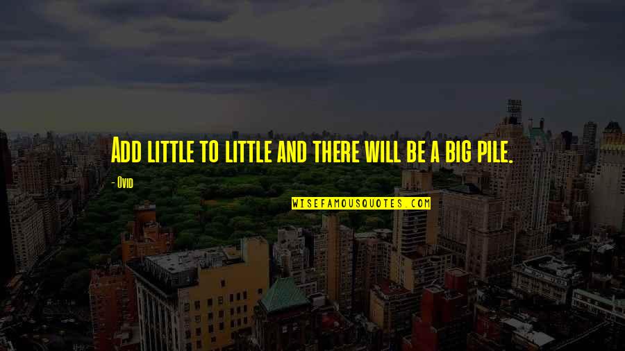 Big And Littles Quotes By Ovid: Add little to little and there will be