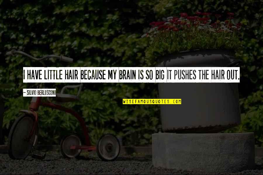 Big And Littles Quotes By Silvio Berlusconi: I have little hair because my brain is
