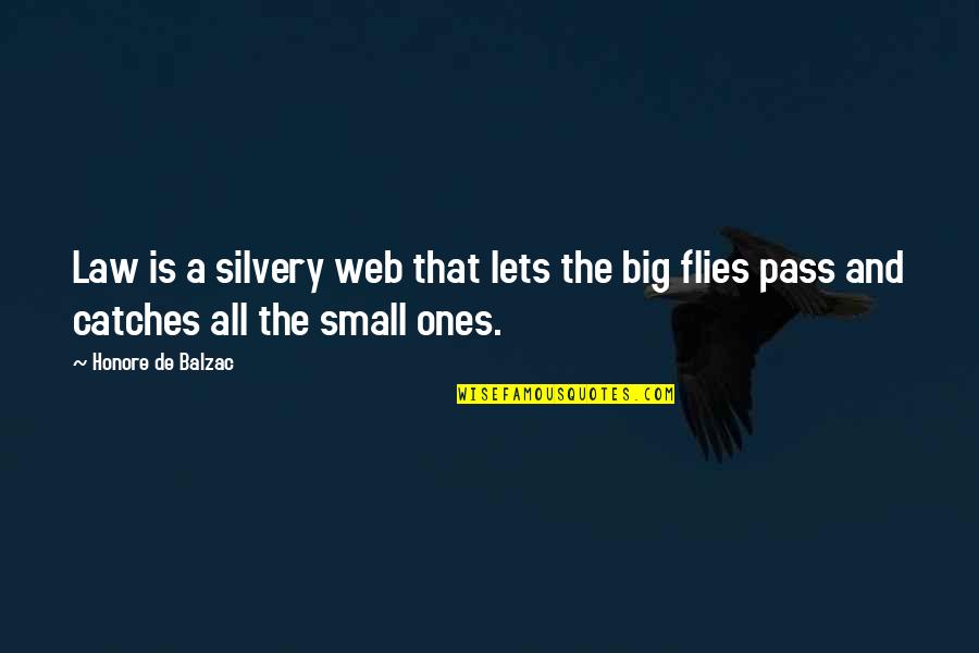 Big And Small Quotes By Honore De Balzac: Law is a silvery web that lets the