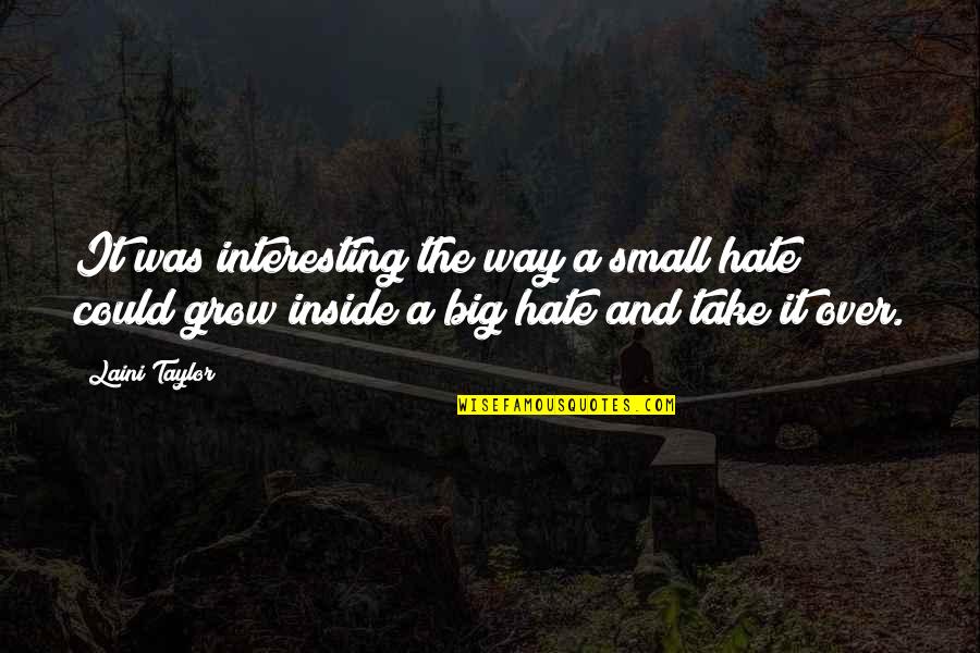 Big And Small Quotes By Laini Taylor: It was interesting the way a small hate