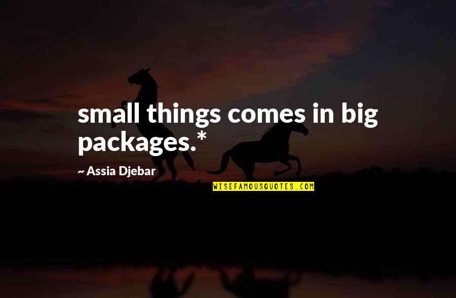 Big And Small Things Quotes By Assia Djebar: small things comes in big packages.*
