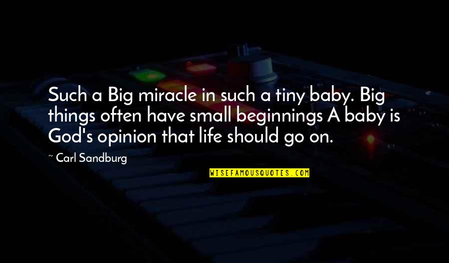 Big And Small Things Quotes By Carl Sandburg: Such a Big miracle in such a tiny