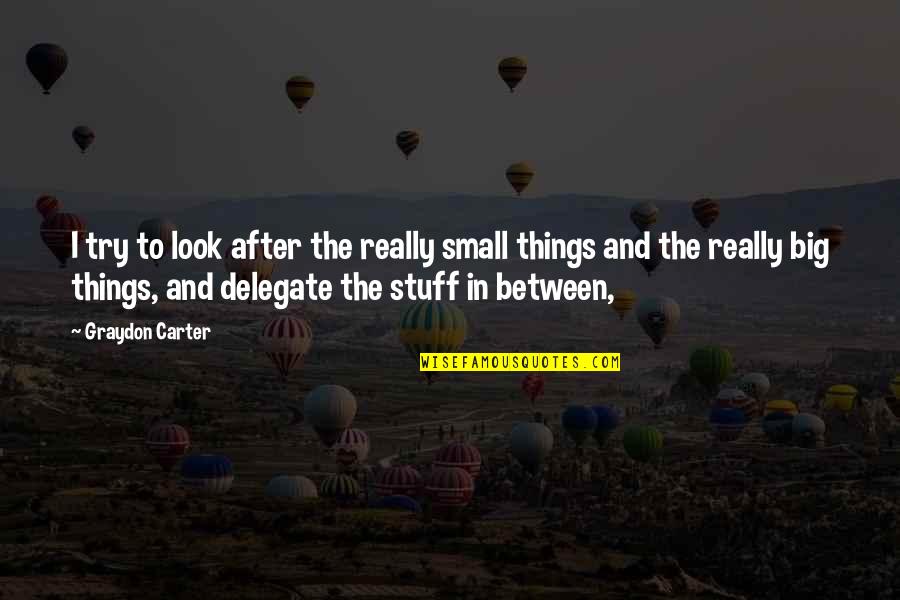 Big And Small Things Quotes By Graydon Carter: I try to look after the really small