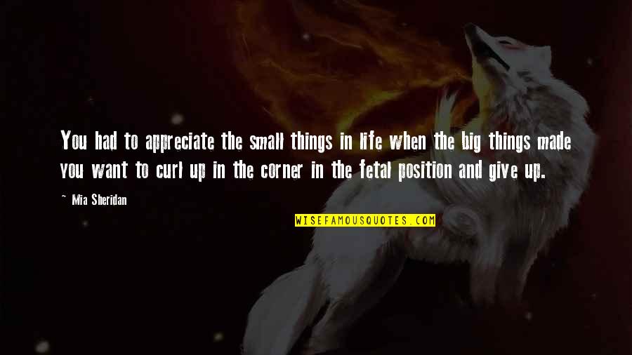 Big And Small Things Quotes By Mia Sheridan: You had to appreciate the small things in
