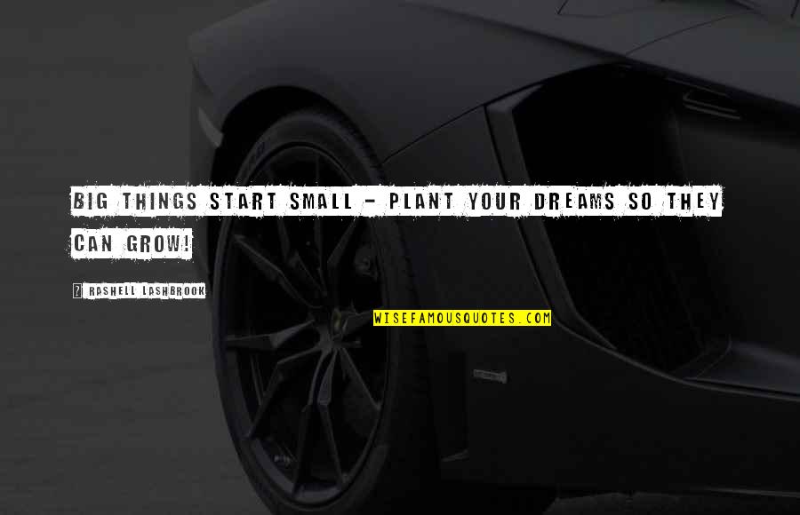 Big And Small Things Quotes By Rashell Lashbrook: Big things start small - Plant your dreams