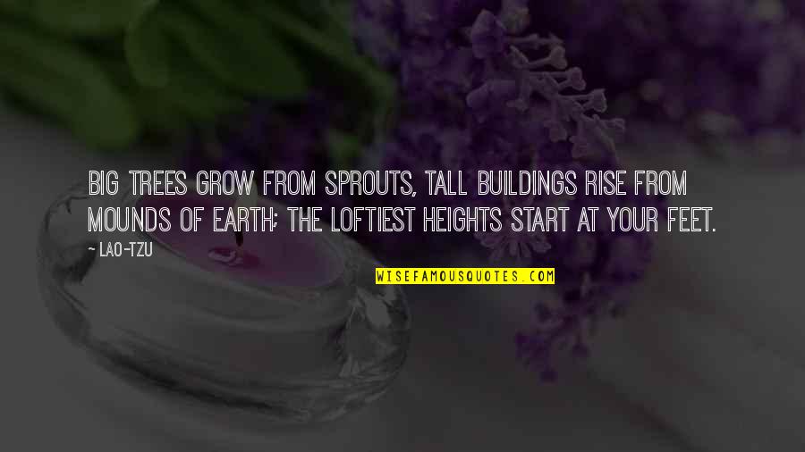 Big And Tall Quotes By Lao-Tzu: Big trees grow from sprouts, tall buildings rise Big And Tall Quotes By Lao-Tzu: Big trees grow from sprouts, tall buildings rise