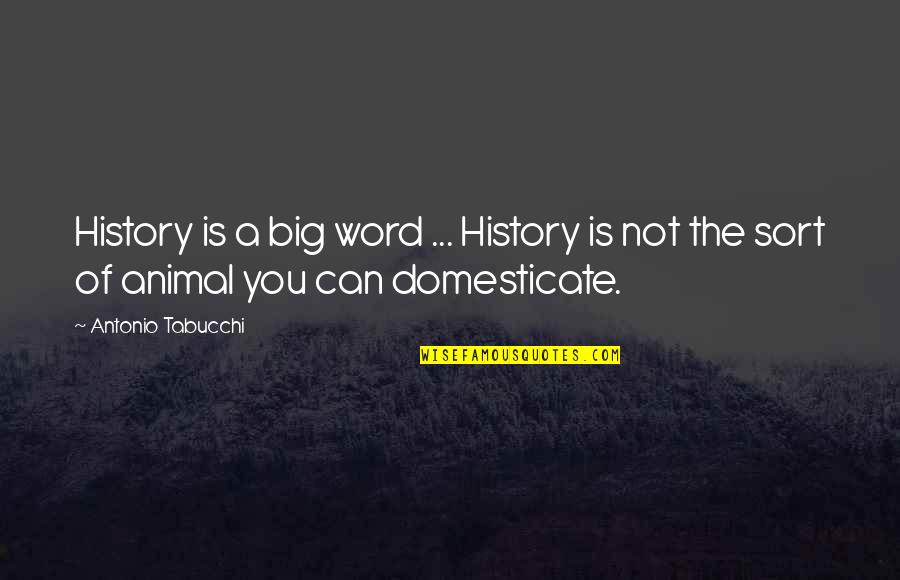 Big Animal Quotes By Antonio Tabucchi: History is a big word ... History is