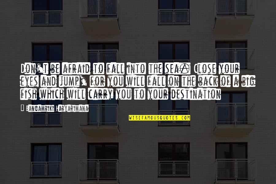 Big Back Quotes By Bangambiki Habyarimana: Don't be afraid to fall into the sea. Big Back Quotes By Bangambiki Habyarimana: Don't be afraid to fall into the sea.