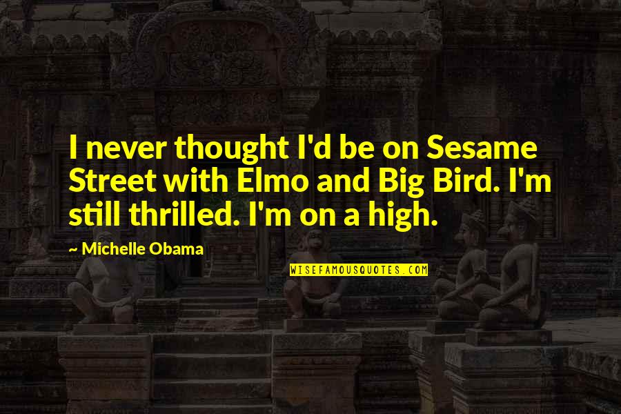 Big Bird Quotes By Michelle Obama: I never thought I'd be on Sesame Street