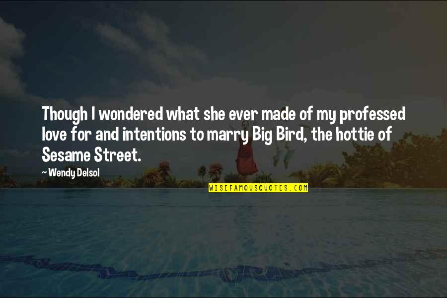 Big Bird Quotes By Wendy Delsol: Though I wondered what she ever made of