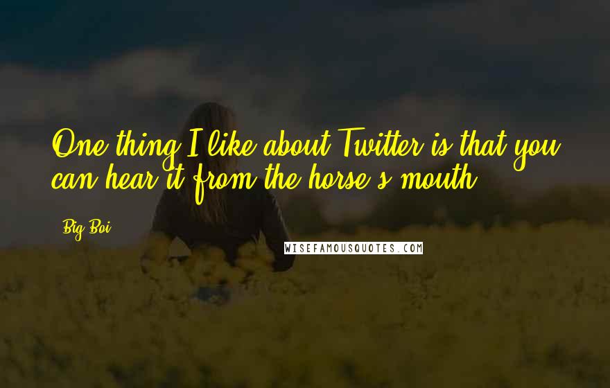 Big Boi quotes: One thing I like about Twitter is that you can hear it from the horse's mouth.