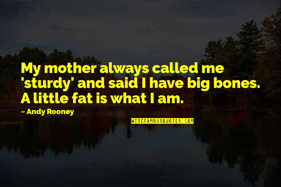 Big Bones Quotes By Andy Rooney: My mother always called me 'sturdy' and said Big Bones Quotes By Andy Rooney: My mother always called me 'sturdy' and said
