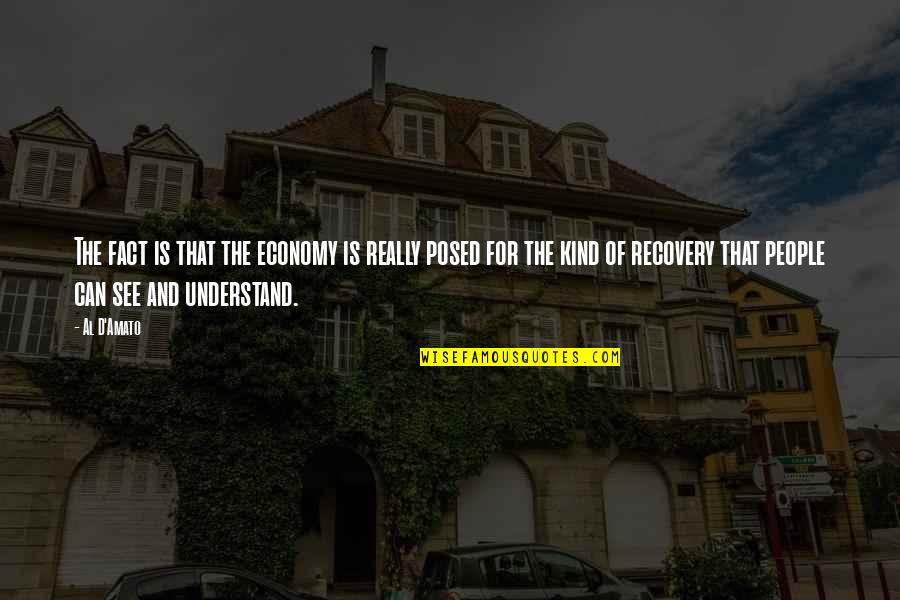 Big Boogie Quotes By Al D'Amato: The fact is that the economy is really Big Boogie Quotes By Al D'Amato: The fact is that the economy is really