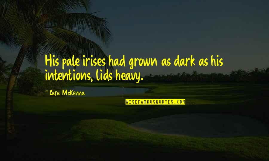 Big Bounce Quotes By Cara McKenna: His pale irises had grown as dark as